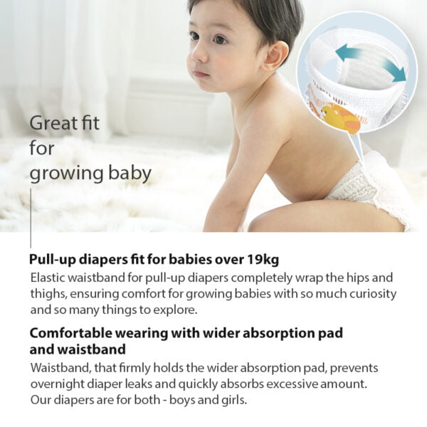 (NEW) size L (9-14 kg) pull-up diapers (34 pcs.)